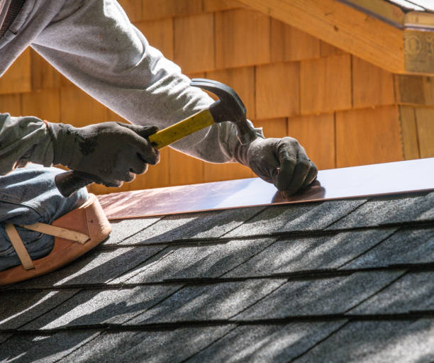 Best Flat Roof Repair Services  in Farmington, MN